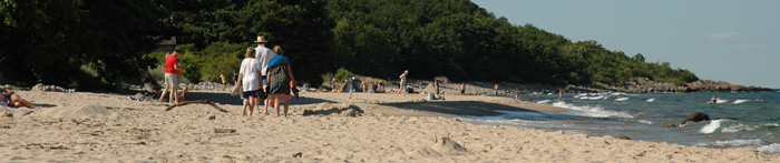Foto av stranden vid Stenshuvud en sommardag.